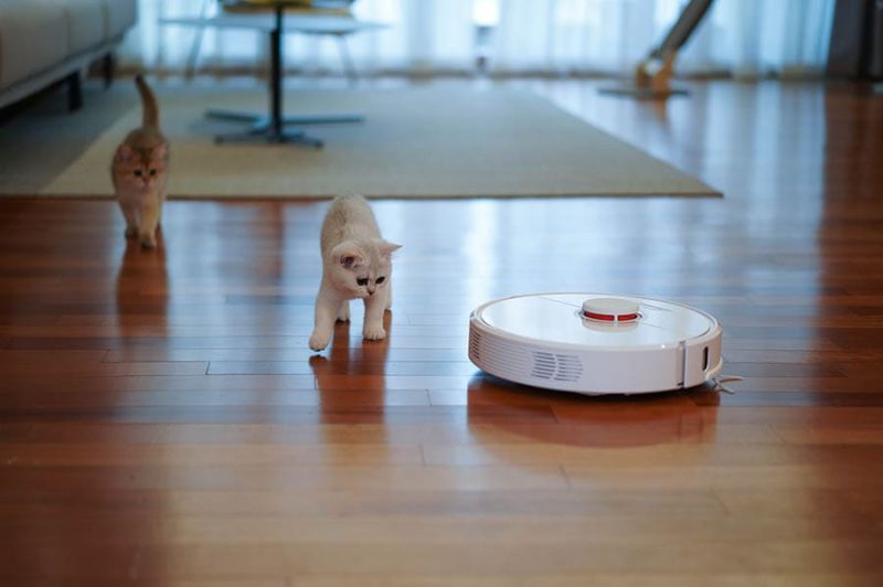 Your robotic Roomba helper's brushes are designed to pick up pet hair effectively