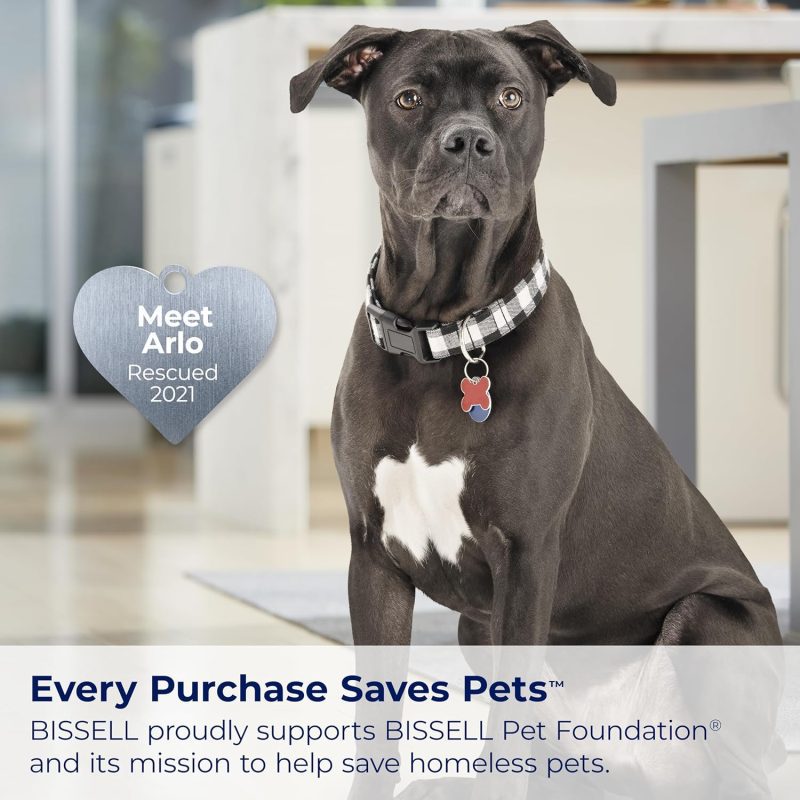 Black dog with white chest in checkered collar, heart-shaped tag reads 'Meet Arlo Rescued 2021', supporting BISSELL Pet Foundation