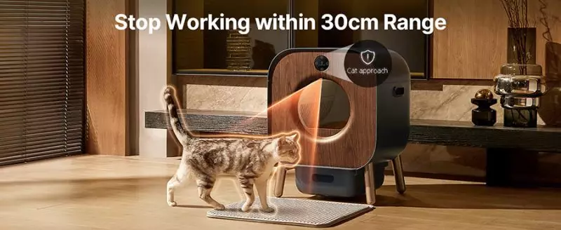 Self Cleaning Cat Litter - Box cat approach